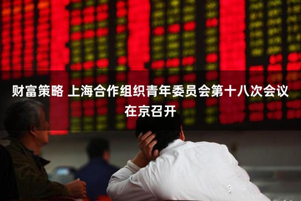 财富策略 上海合作组织青年委员会第十八次会议在京召开