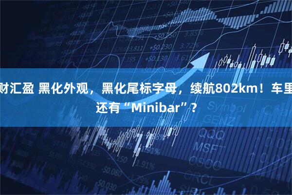 财汇盈 黑化外观，黑化尾标字母，续航802km！车里还有“Minibar”？