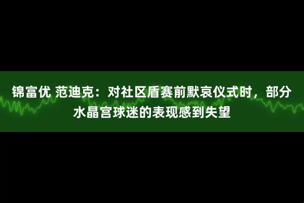 锦富优 范迪克：对社区盾赛前默哀仪式时，部分水晶宫球迷的表现感到失望