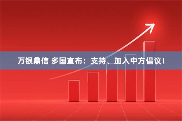 万银鼎信 多国宣布：支持、加入中方倡议！