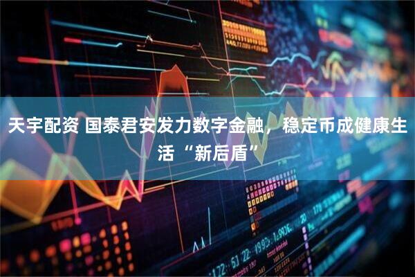 天宇配资 国泰君安发力数字金融，稳定币成健康生活 “新后盾”