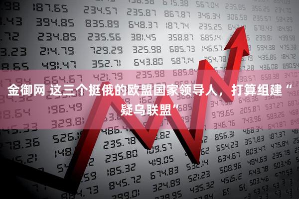 金御网 这三个挺俄的欧盟国家领导人,打算组建“疑乌联盟”