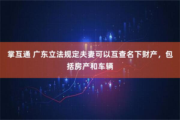 掌互通 广东立法规定夫妻可以互查名下财产,包括房产和车辆